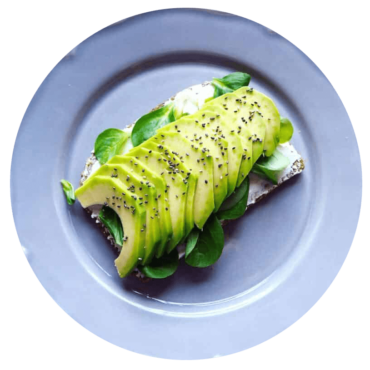 嘉義竹崎酪梨食農教育1